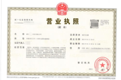 注册公司法人要求,注册公司法人必备条件与责任解析