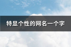 一个字网名,千言万语——探寻个性与文化的交织