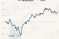 博时平衡基金,稳健投资之道，平衡收益与风险