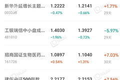 320005基金净值,投资价值与市场走势洞察
