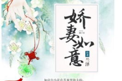 娇妻如意全文免费阅读,总裁的甜蜜宠爱全文免费阅读概览