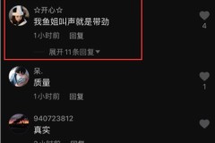 及奇瑞瑞虎3x出色版车型上市：5门5座SUV579万元（韩佳丽1年内流产3次！老公延政勋被申斥：没掩护好妻子）？飞驰S600积年报价走势若何