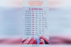 十二生肖年龄表,生肖年龄与人生阶段