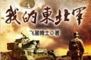 重生东北军统一全国的小说,逐鹿中原，一统天下传奇